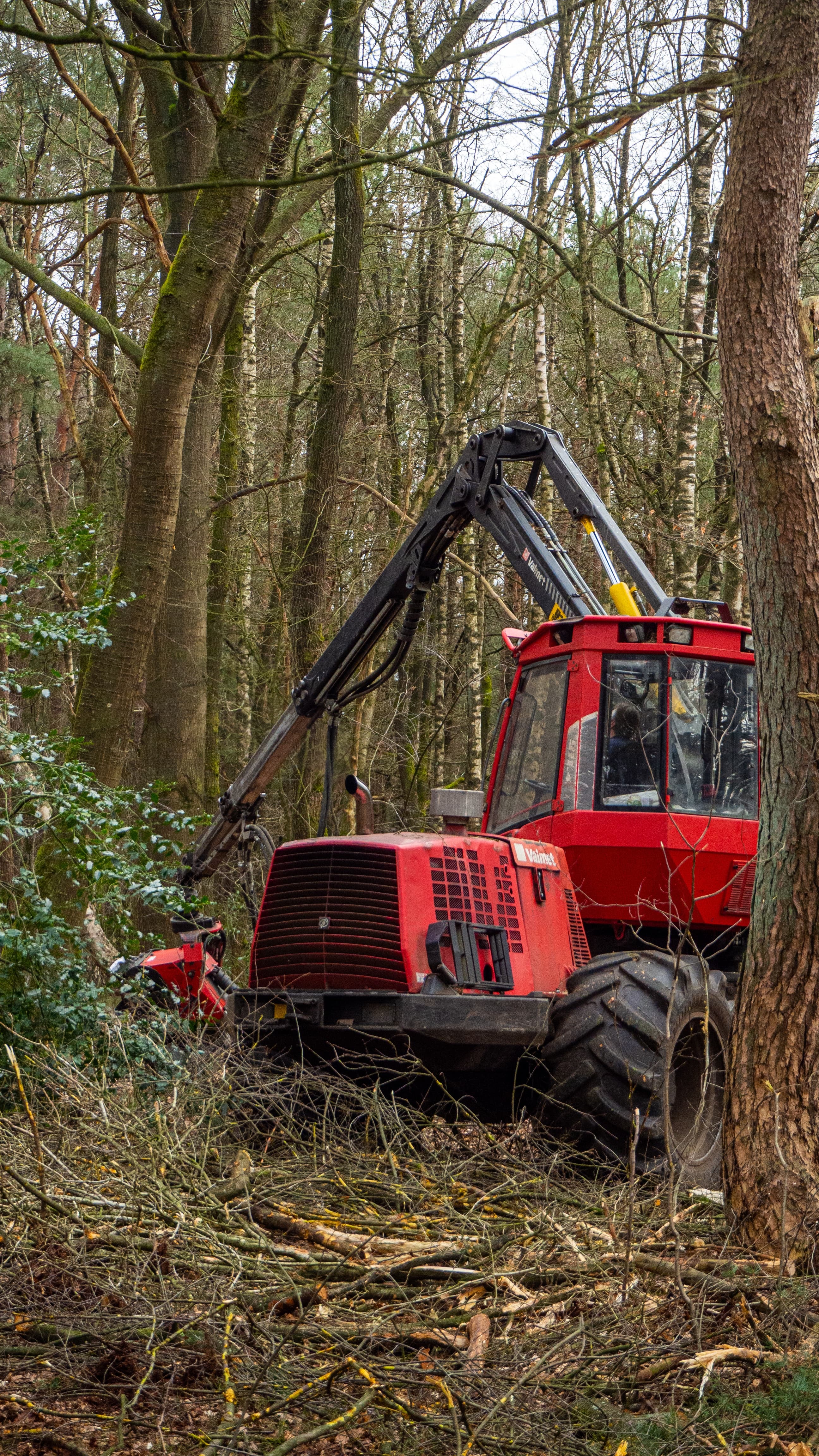 OVAM lanceert campagne verwerking groenafval