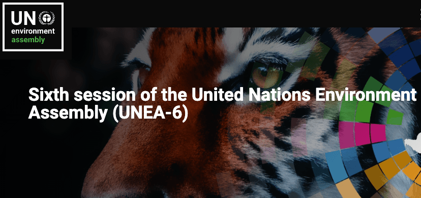 #REACT: als Belgisch delegatielid naar UN Environment Assembly 6 in Nairobi?